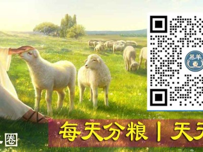 道格第11讲丨生命小破口，酿造大祸哉！